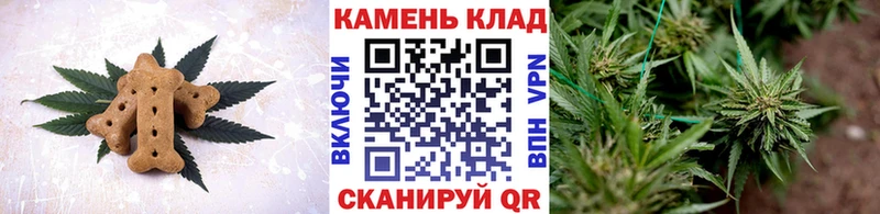 как найти закладки  Шадринск  Cannafood марихуана 