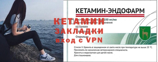 дживик Няндома