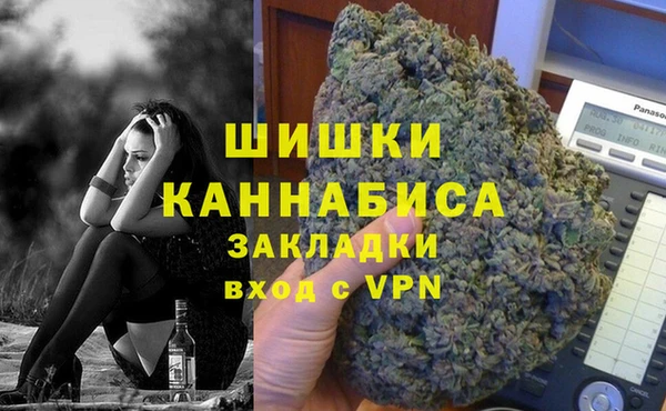 дживик Няндома