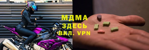 дживик Няндома