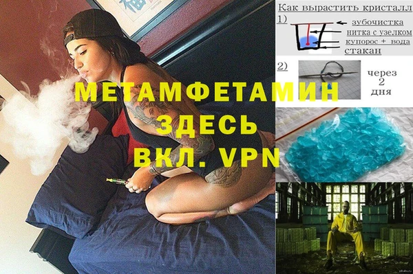 дживик Няндома