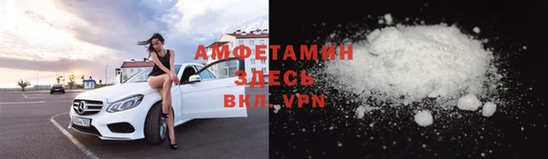 дживик Няндома