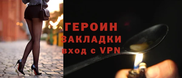дживик Няндома
