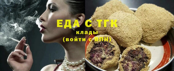 дживик Няндома