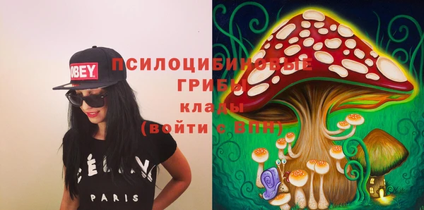 дживик Няндома