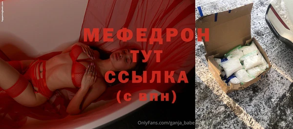 дживик Няндома