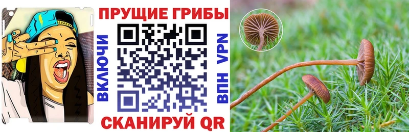 Галлюциногенные грибы мухоморы  Шадринск 