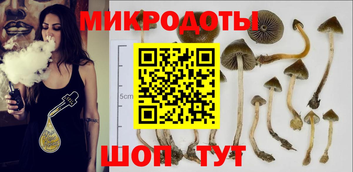 где купить наркоту  Вход с VPN  Шадринск  Псилоцибиновые грибы Cubensis 