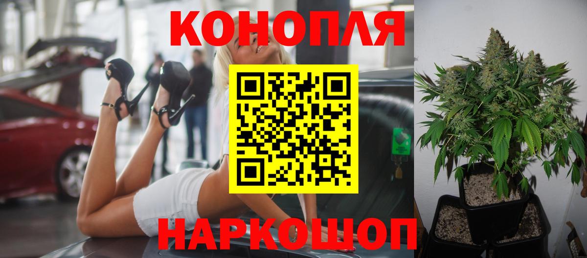 Канабис планчик  Марихуана ГИДРОПОН  Вход с VPN  Шадринск  Бошки марихуана White Widow 